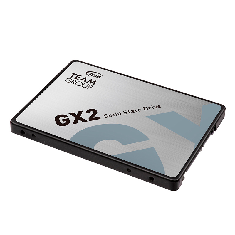 SSDTG256GGX2_sec_1