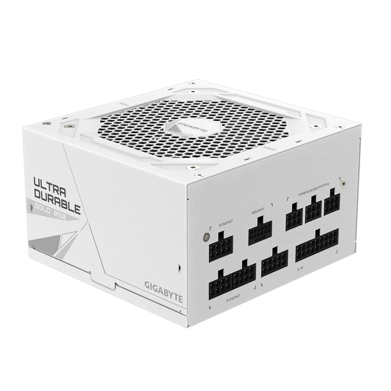 PSGBUD850GMPG5W_sec_1