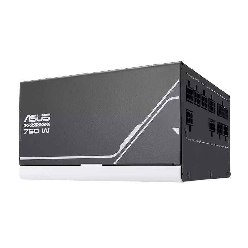PSASAP-750G_sec_2