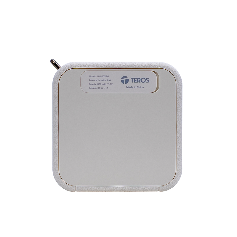 MMTELEG6051BG_sec_2