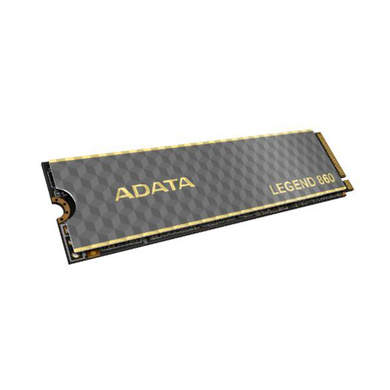 SSDADSLEG860500_sec_1