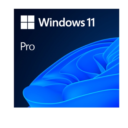 [msfqc10553] Sistema Operativo Microsoft Windows 11 Pro 64-bit Spanish LATAM OEM DVD